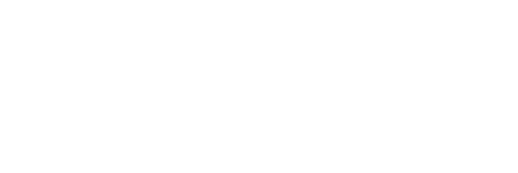 RIAM - Red Iberoamericana de Autoridades Migratorias