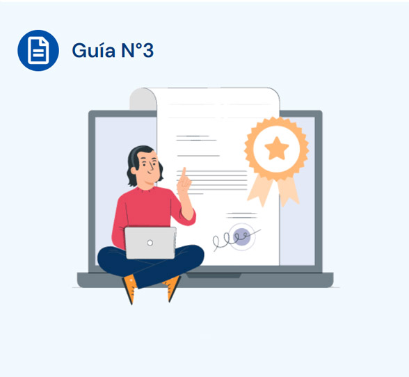 Guía 3: ¿Qué es la Resolución Exenta?