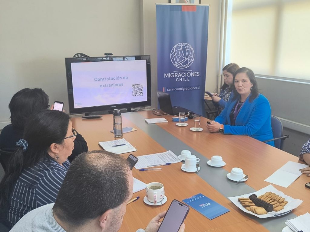 Asistentes Capacitación Dir. del Trabajo - Los Lagos