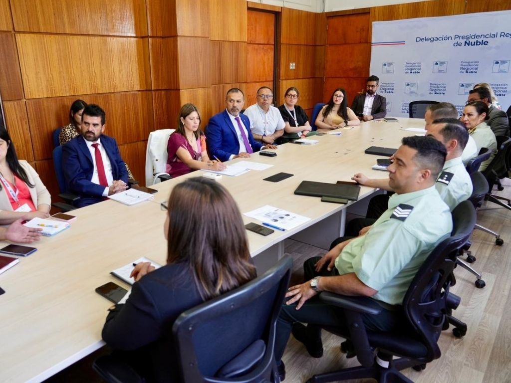 Asistentes subcomisión de Inclusión Social de la Mesa Regional de Migraciones de Ñuble