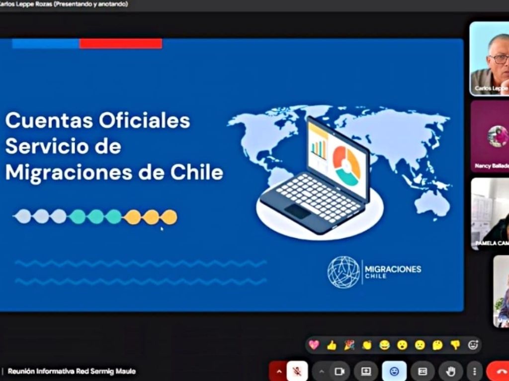 Imagen de la reunión online realizada en el Maule