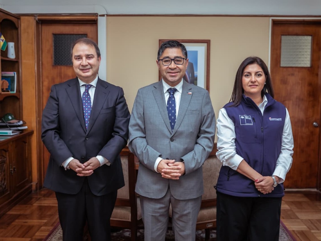 Biobío: Autoridades forman para foto protocolar